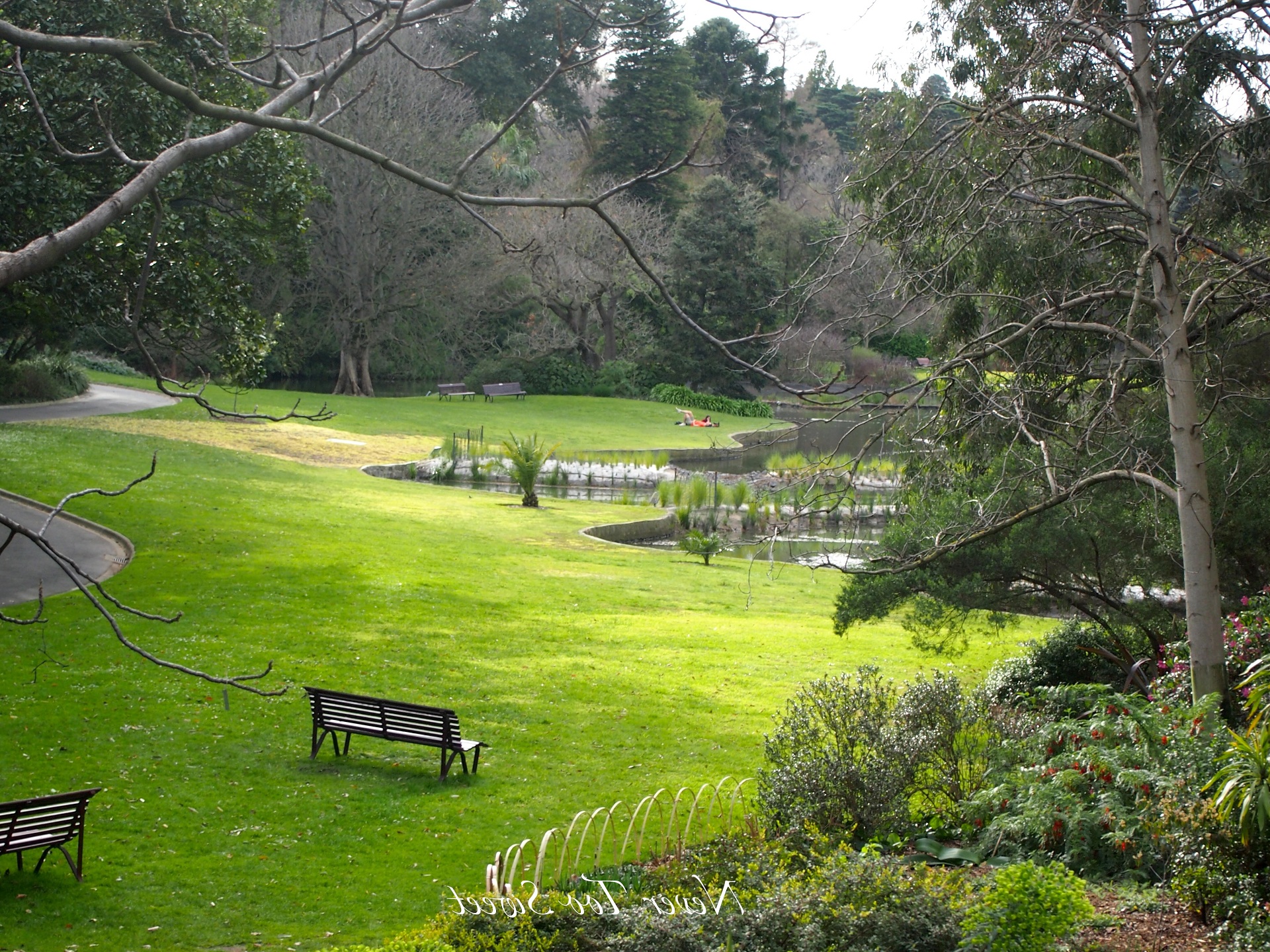 Beautiful Royal Botanic Gardens Melbourne In Australia - Melbourne Nature Wallpaper Hd , HD Wallpaper & Backgrounds