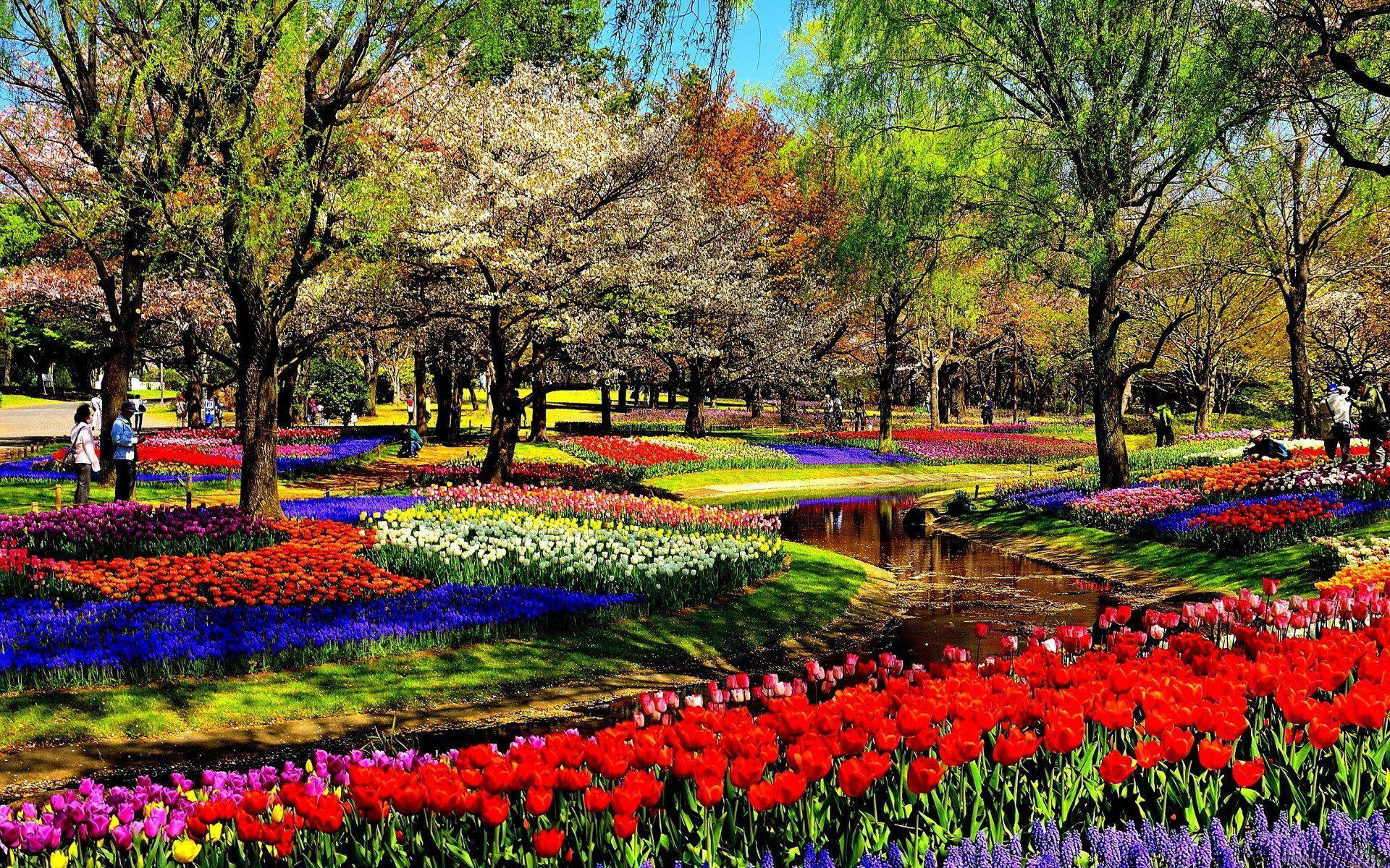 Flower Garden Wallpaper Free Download - Garden Of Flower Hd , HD Wallpaper & Backgrounds