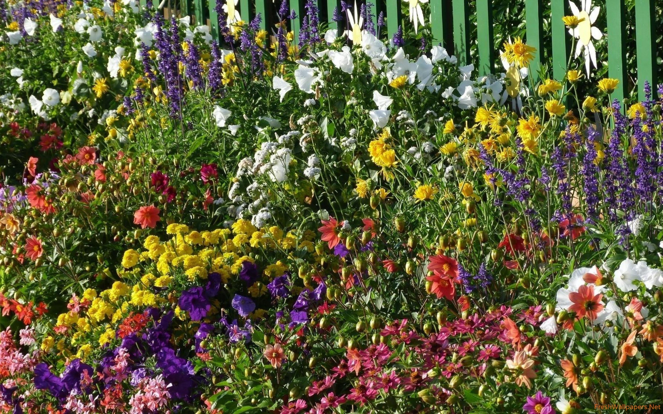 Beautiful Garden Wallpaper - Flower , HD Wallpaper & Backgrounds