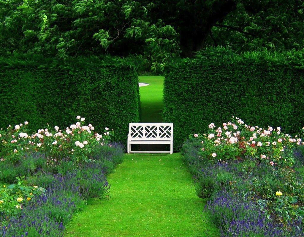 Beautiful Gardens Garden Green Exotic Flower Wallpaper - Garden , HD Wallpaper & Backgrounds