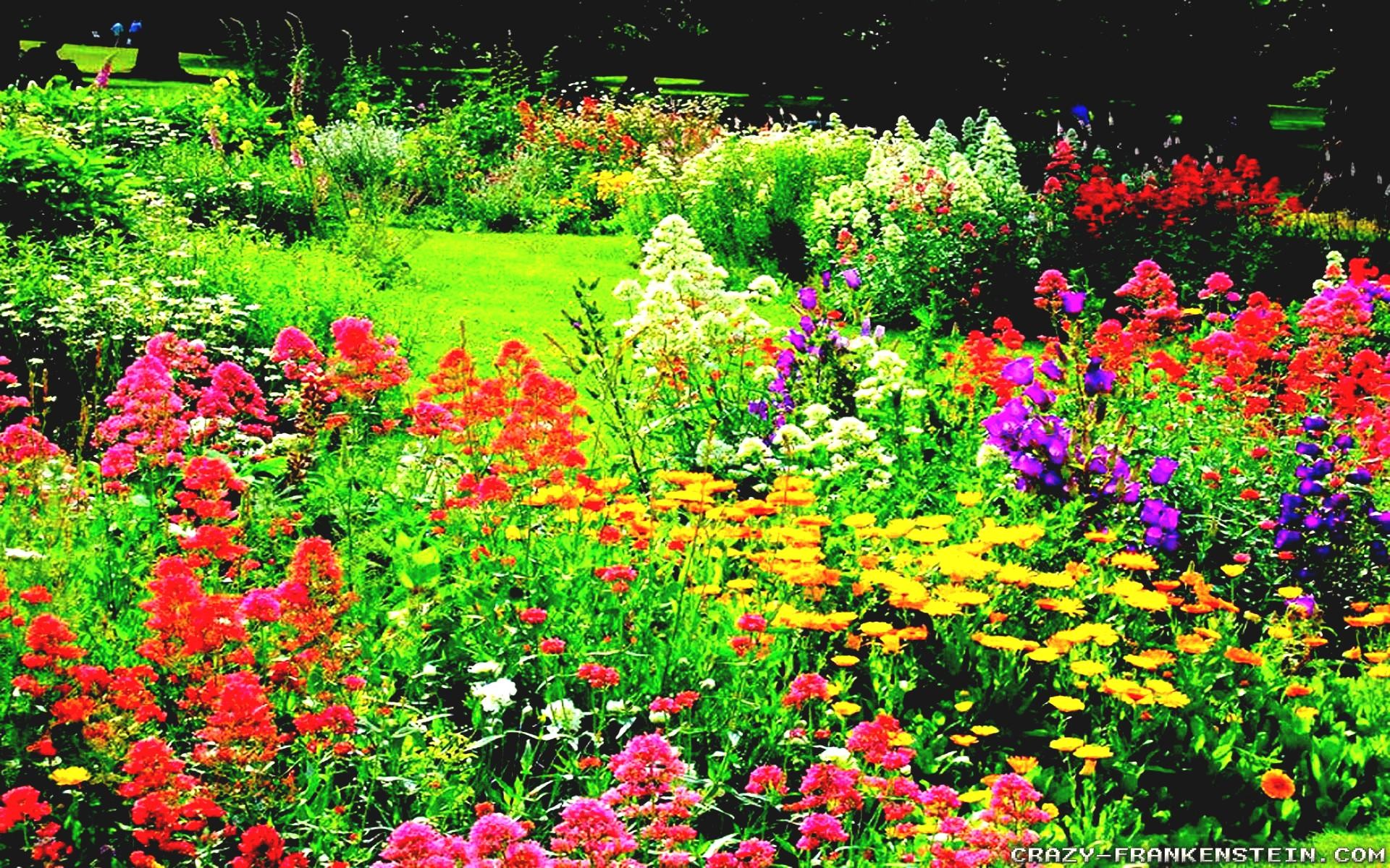 Download Original Wallpaper Category - Open Flower Garden , HD Wallpaper & Backgrounds