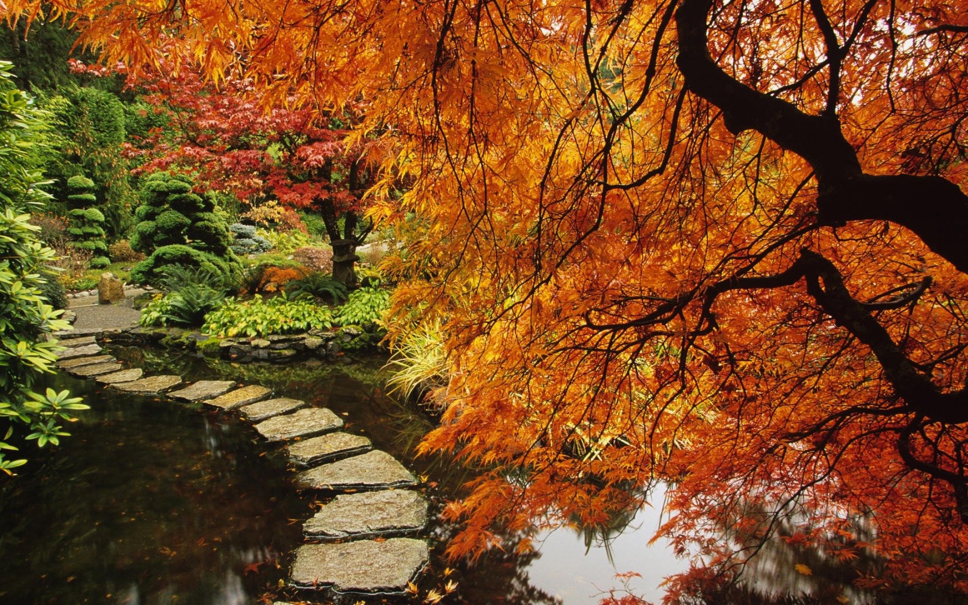 Best Japanese Garden Wallpaper Id - Butchart Garden Vancouver Autumn , HD Wallpaper & Backgrounds
