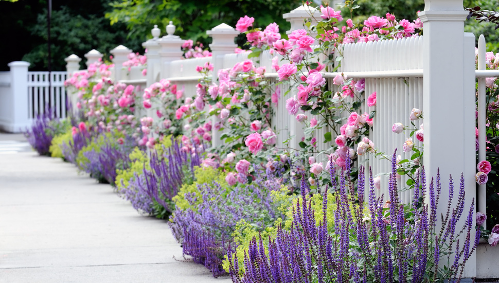 Fence, Garden, Flower Garden, Rose, Pink, Flowers, - Fence Garden , HD Wallpaper & Backgrounds
