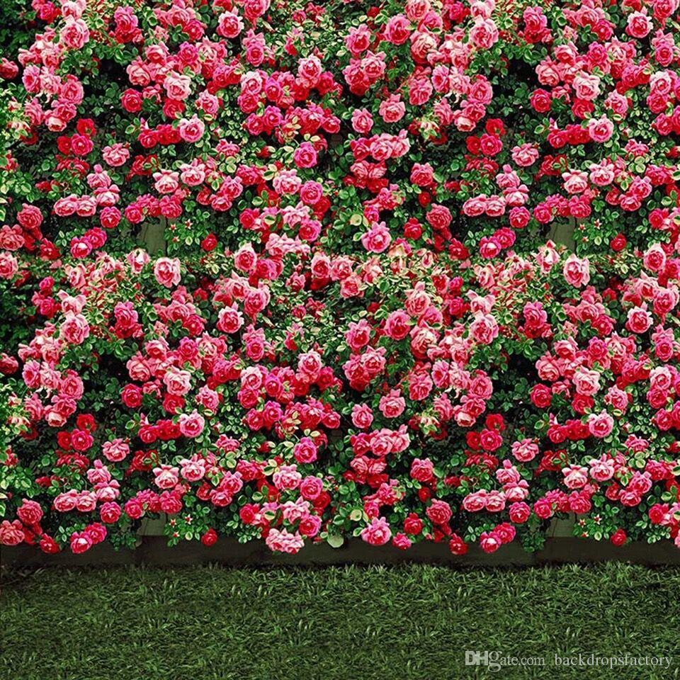 2019 Pink Flower Blossoms Wall Wedding Photo Backdrops - Flower Garden Wall , HD Wallpaper & Backgrounds
