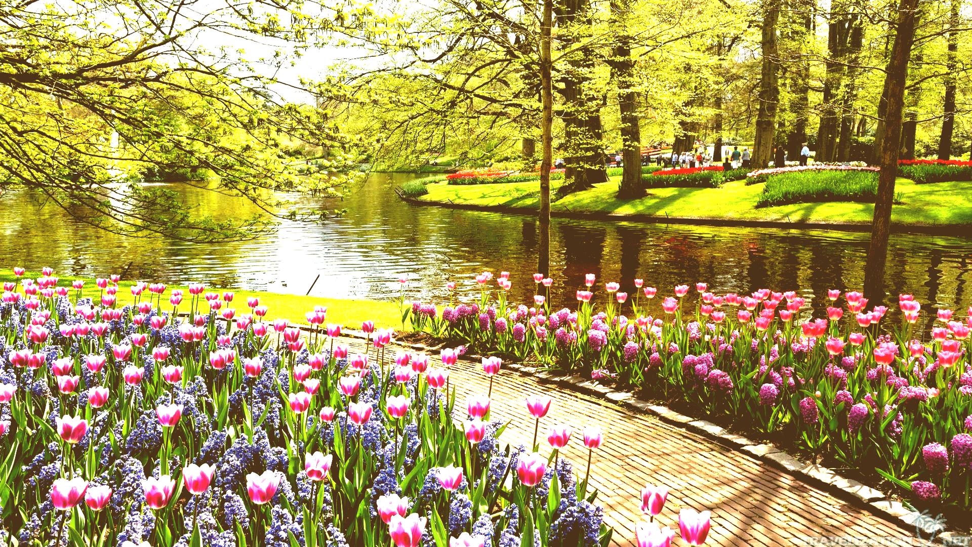 Beautiful Garden - Beautiful Garden Images Download , HD Wallpaper & Backgrounds