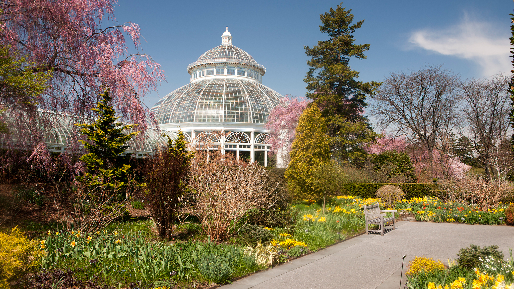 New York Botanical Garden Marks Its 125th Anniversary - New York Botanical Garden Perennial Garden , HD Wallpaper & Backgrounds