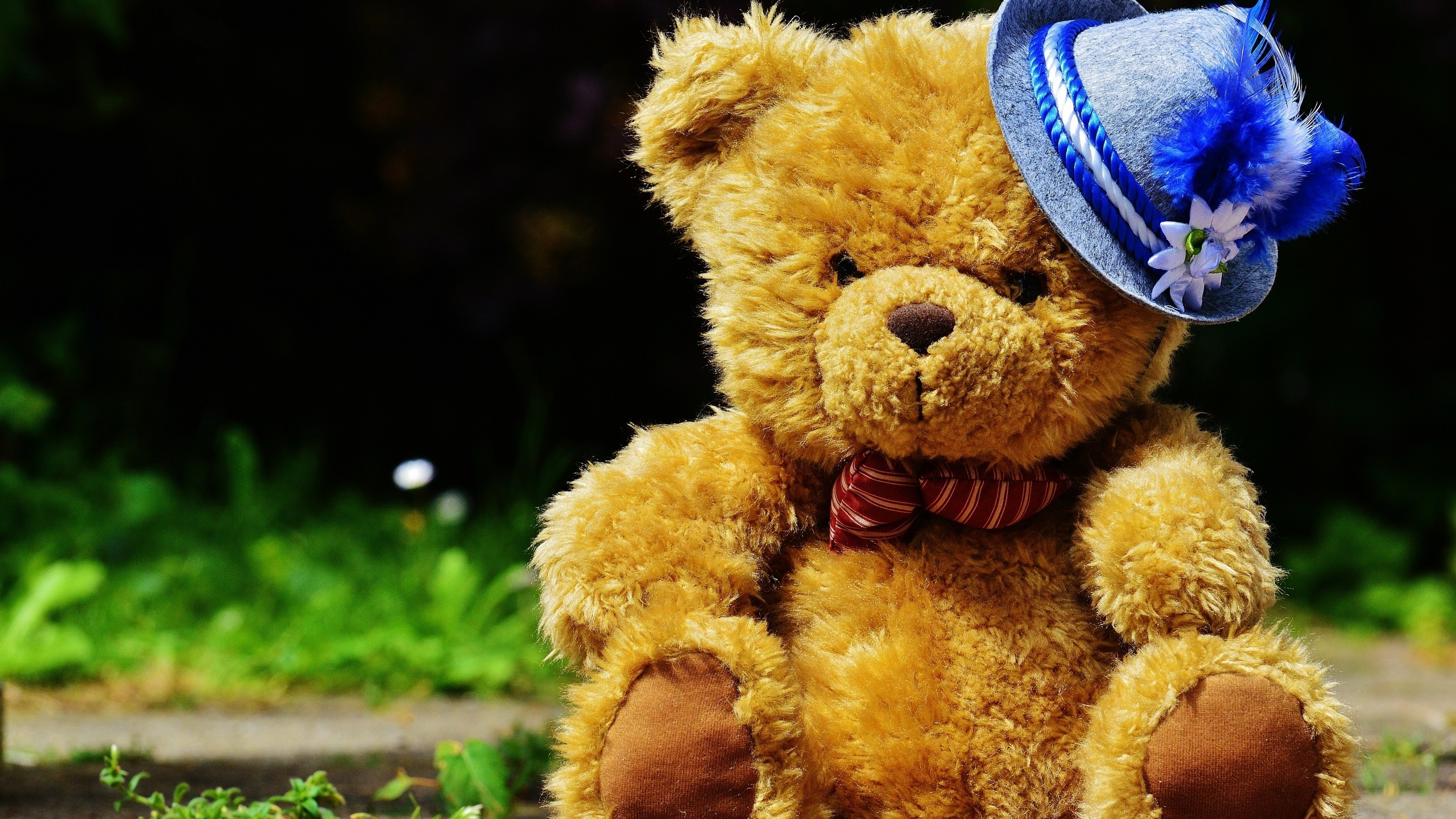 Widescreen - Happy Teddy Day Hd Pic 2019 Download , HD Wallpaper & Backgrounds
