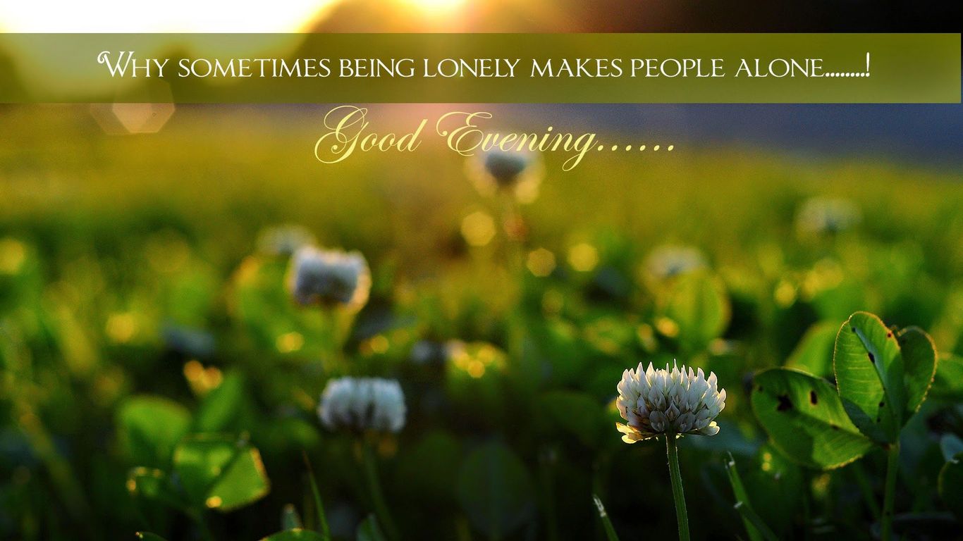 Gud Evening Wallpapers Hd Good Evening Hd Background, - Good Morning Telugu Images Friends , HD Wallpaper & Backgrounds