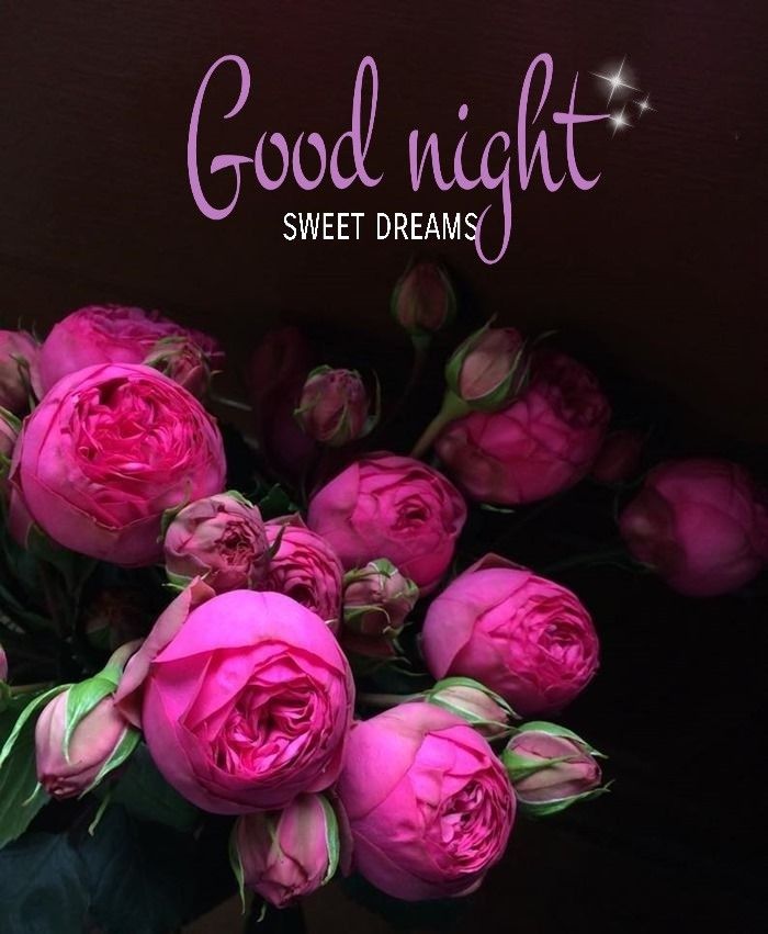 Pin By Gracy Thomas On Good Night - Good Night Images With Flowers , HD Wallpaper & Backgrounds