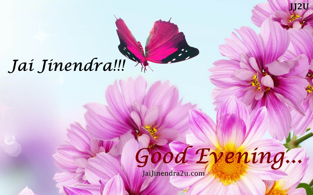 Jai Jinendra Good Evening Wallpapers Jain Wallpapers - Flower Background Hd , HD Wallpaper & Backgrounds