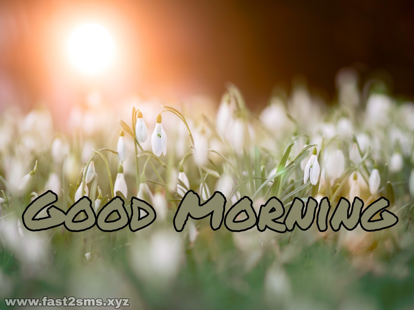 Good Morning Hd Images Download , HD Wallpaper & Backgrounds
