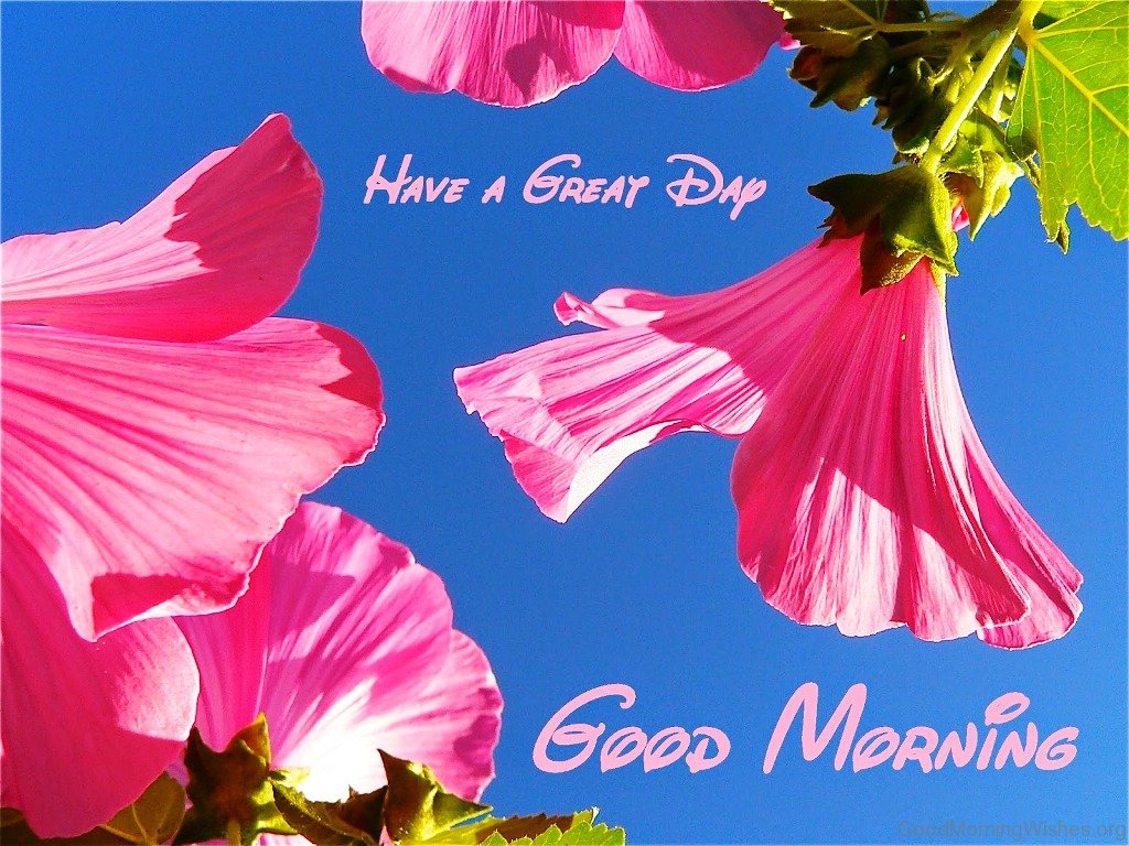 Very Good Morning Wallpaper - Good Morning Fresh Day , HD Wallpaper & Backgrounds