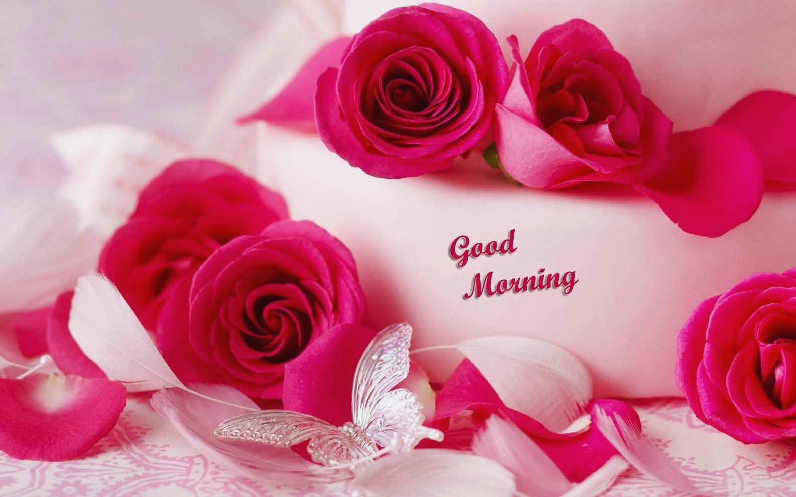 10 Wallpaper Hd Love Good Morning - Rose Good Morning Hd , HD Wallpaper & Backgrounds