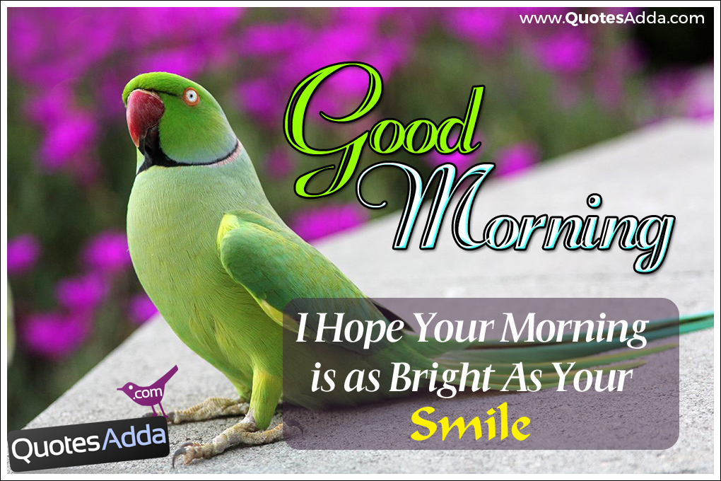 Cute Good Morning Images With Smile Quotes On Birds Good Morning