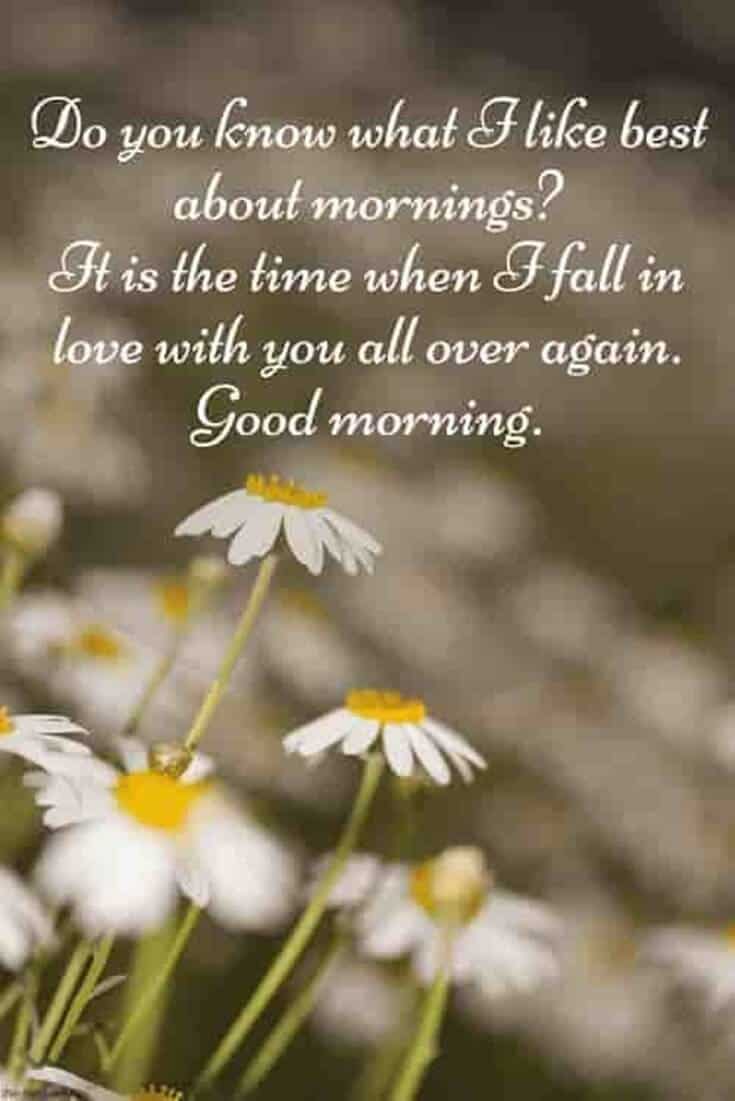 35 Good Morning Quotes And Wishes With Beautiful Images - Margarita Flor Amor , HD Wallpaper & Backgrounds