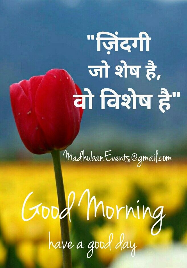 Daily Quote सुप्रभात Inspirational Quote Good Morningquote - Inspirational Good Morning Images With Quotes In Hindi , HD Wallpaper & Backgrounds