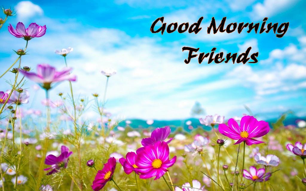 Good Morning Friends Flowers Garden Wallpapers - Happy Birthday Friend Co Worker , HD Wallpaper & Backgrounds