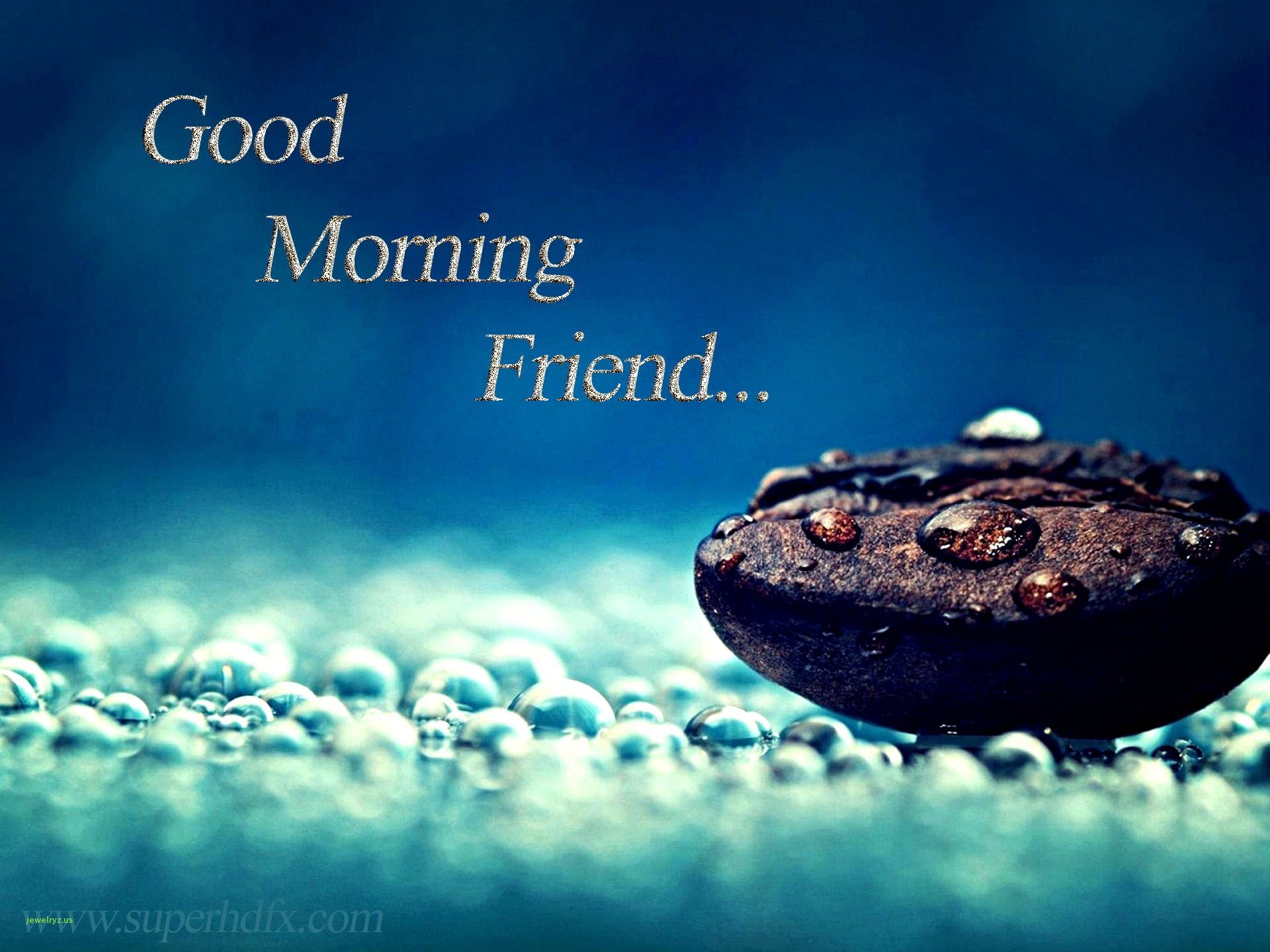 Friend New Good Morning Images Hd , HD Wallpaper & Backgrounds