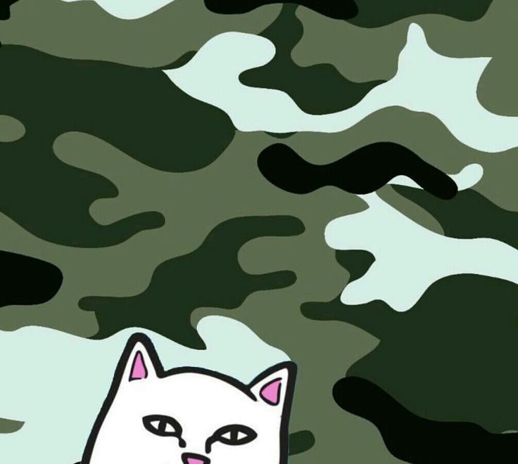 Ripndip Wallpaper Hd 42 Find Hd Wallpapers For Free - Fondos De Pantalla Para Whatsapp , HD Wallpaper & Backgrounds