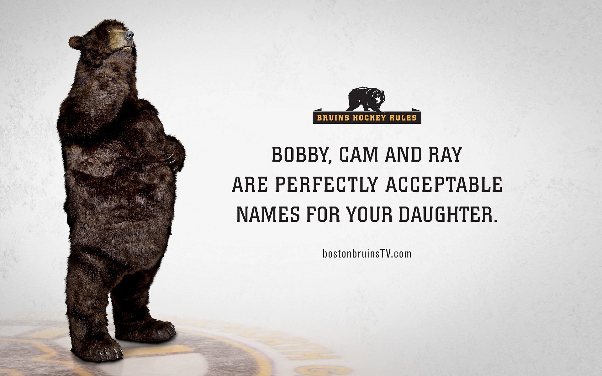 Boston Bruins - Boston Bruins Bear Mascot , HD Wallpaper & Backgrounds