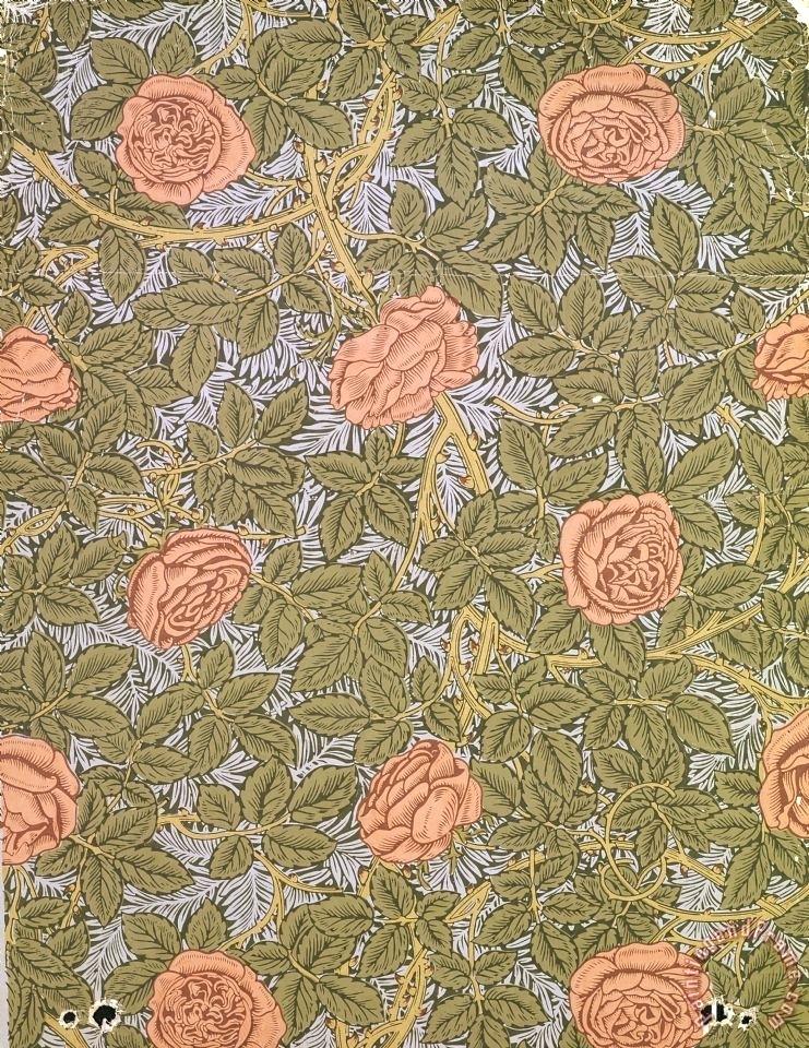 William And Morris Wallpaper Rose Design Painting Art - William Morris Patterns Rose , HD Wallpaper & Backgrounds