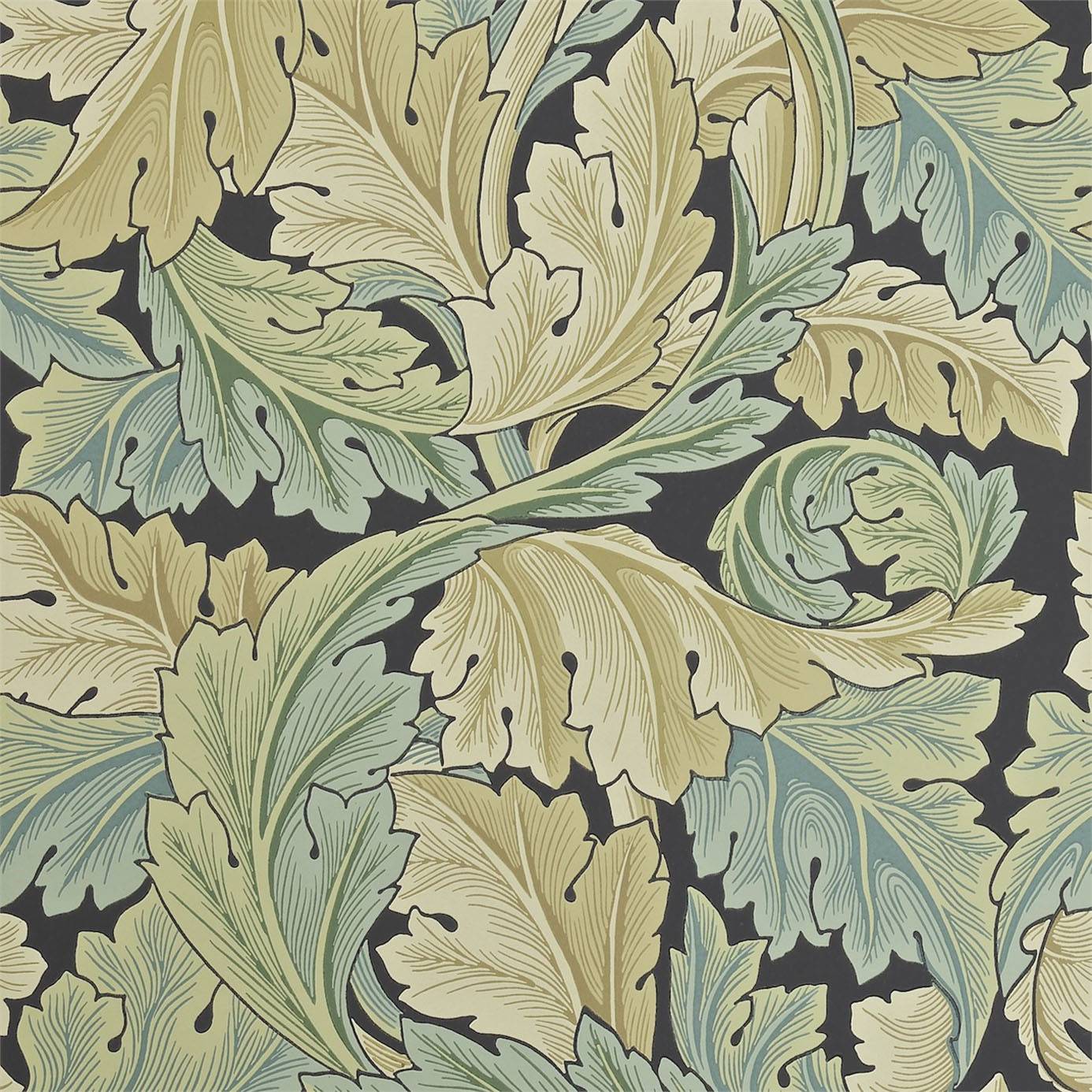 Acanthus W, Paper, Privet , William Morris & Co - Acanthus Wallpaper William Morris , HD Wallpaper & Backgrounds