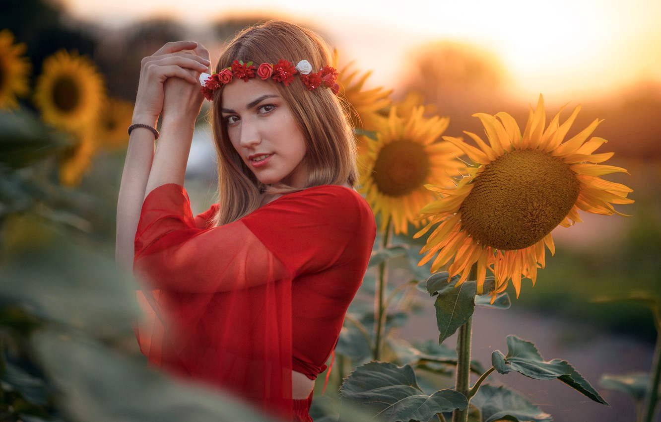 Photo Wallpaper Girl, Sunflowers, Natalia - Sunflower , HD Wallpaper & Backgrounds