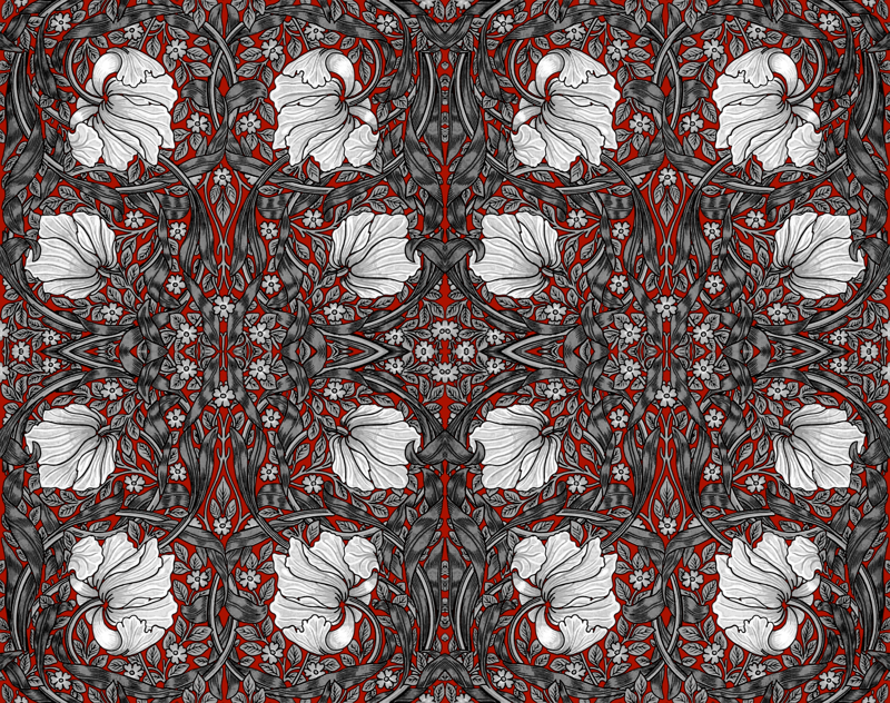 William Morris ~ Pimpernel ~ Black And White On Turkey - Motif , HD Wallpaper & Backgrounds