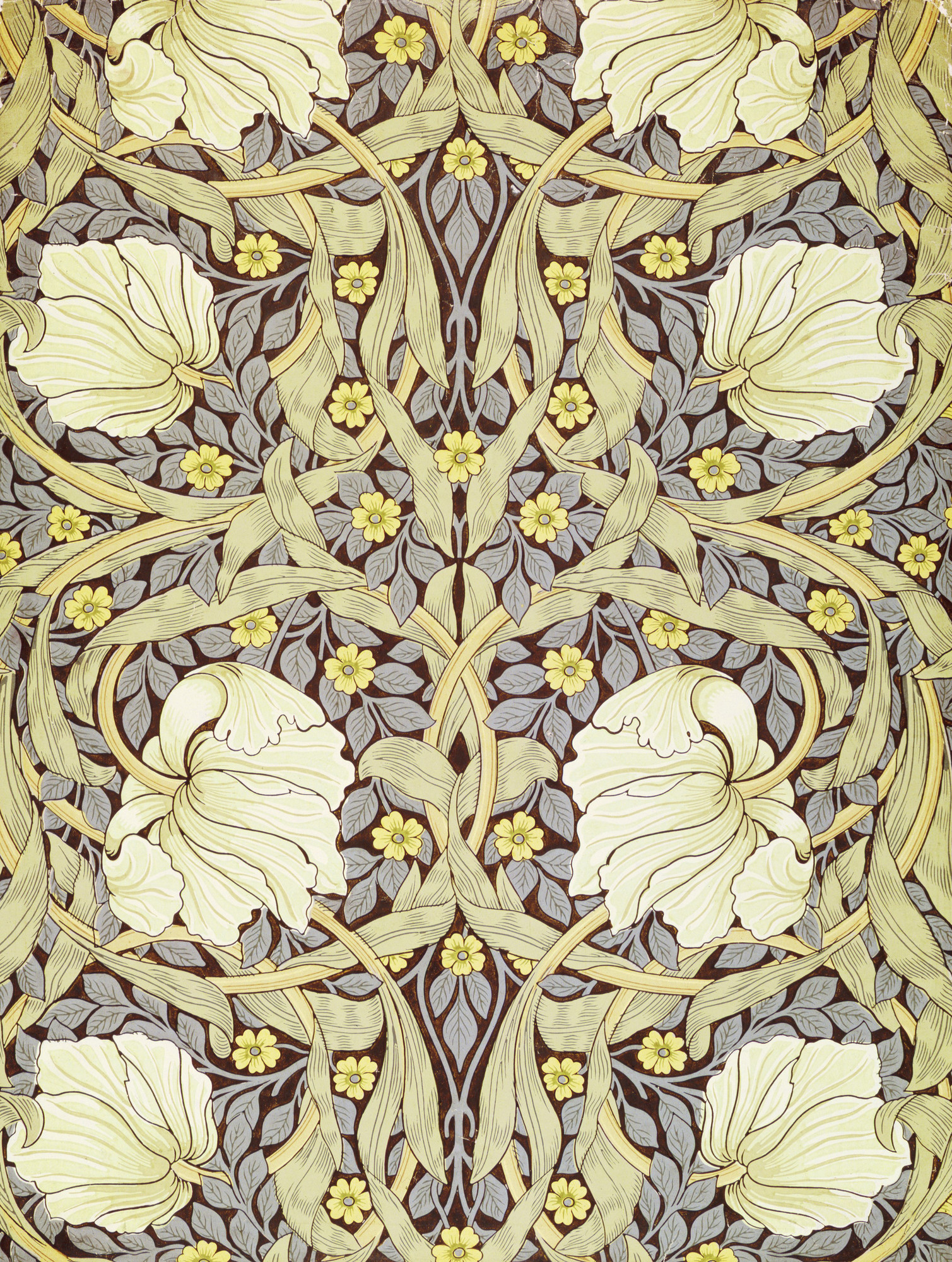 Pimpernell Wallpaper Design By William Morris - William Morris All Designs , HD Wallpaper & Backgrounds