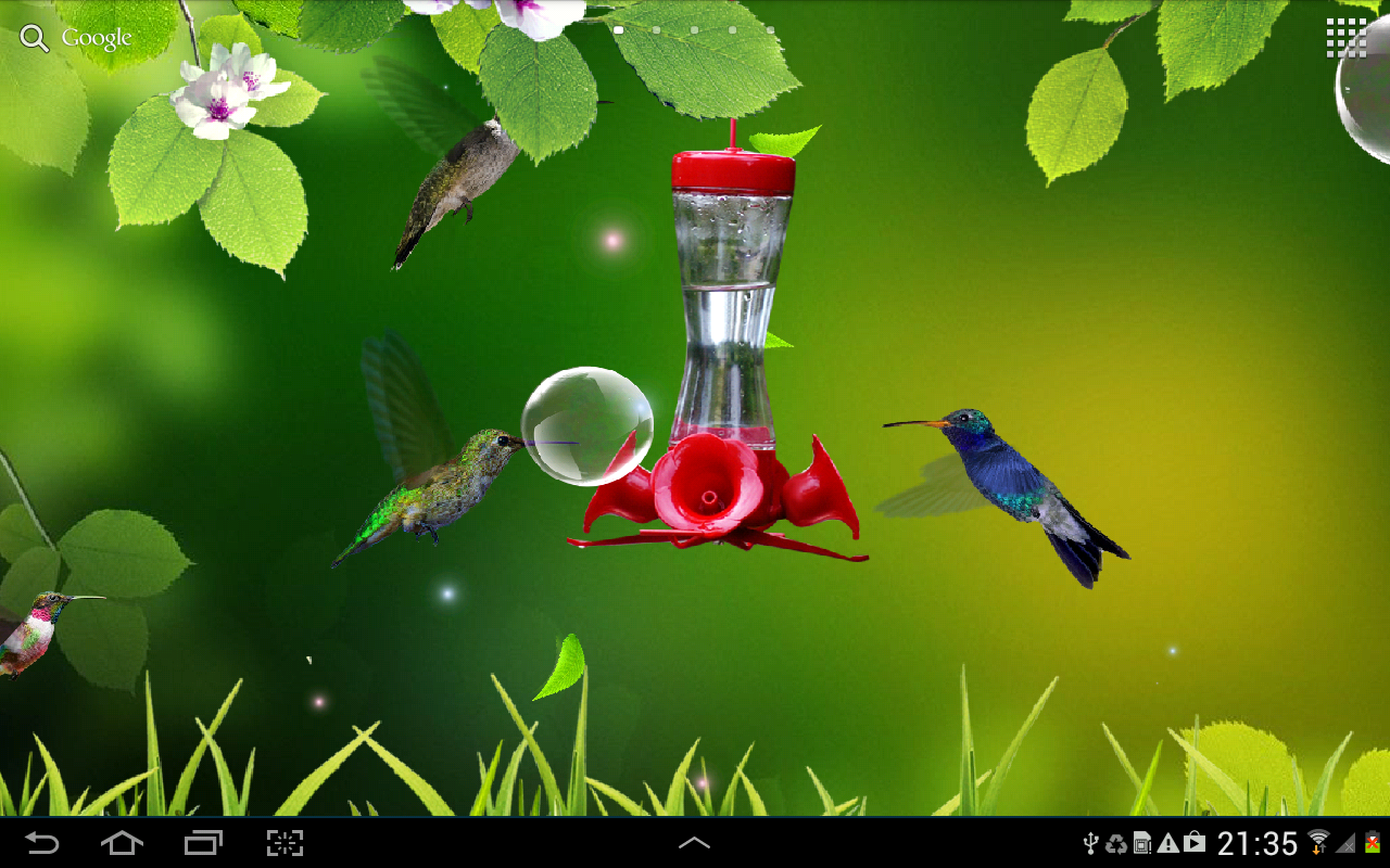 Hummingbird Screensaver , HD Wallpaper & Backgrounds