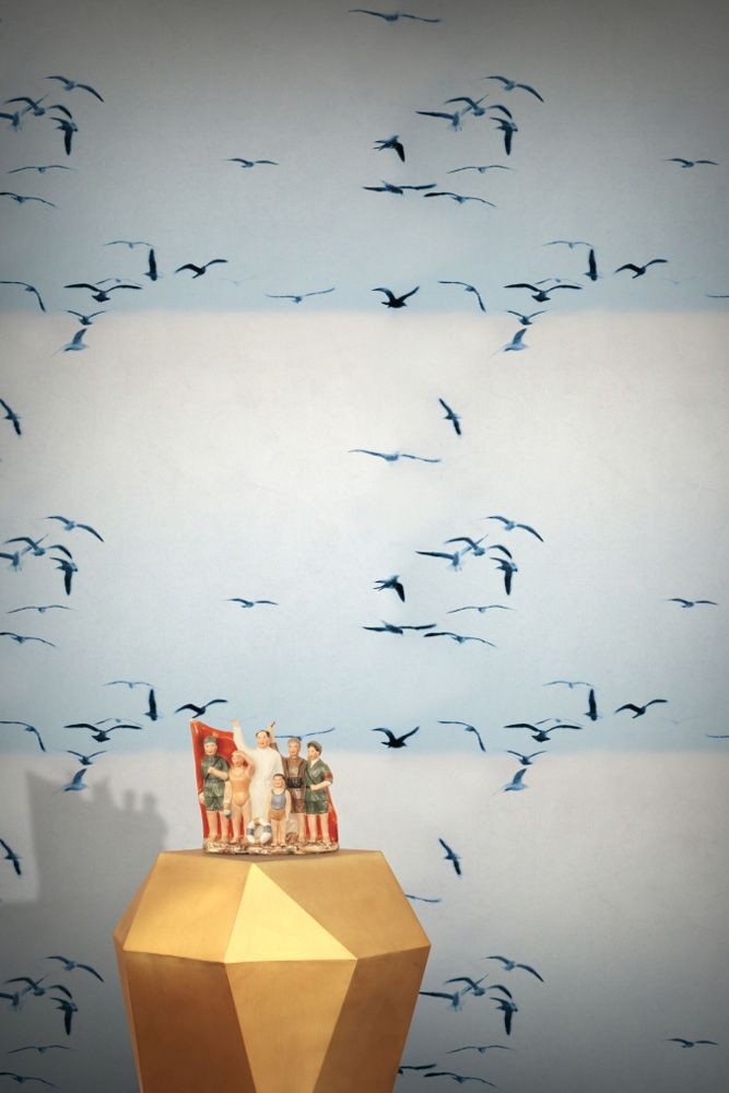 Feathr Portuguese Seagulls Wallpaper - Wallpaper , HD Wallpaper & Backgrounds