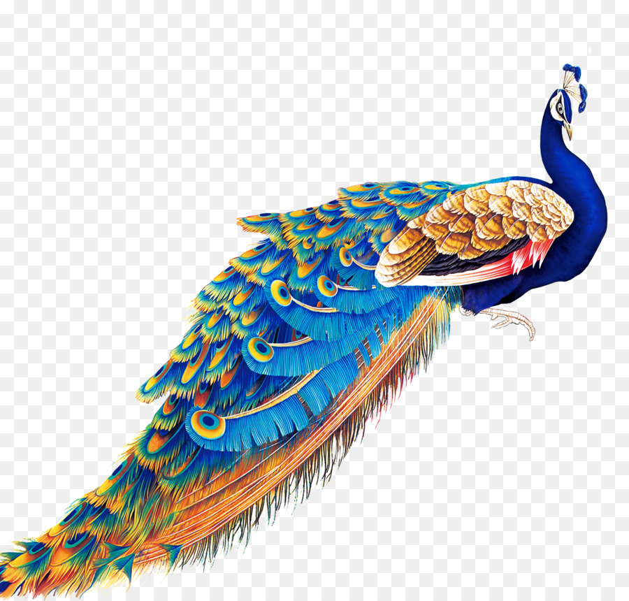 Peafowl Display Resolution Wallpaper - Peacock Painting Png , HD Wallpaper & Backgrounds
