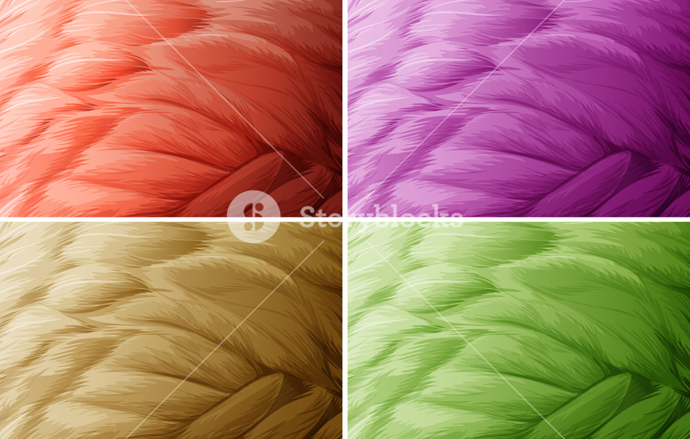Four Colors Of Feather Design Wallpaper - Thread , HD Wallpaper & Backgrounds