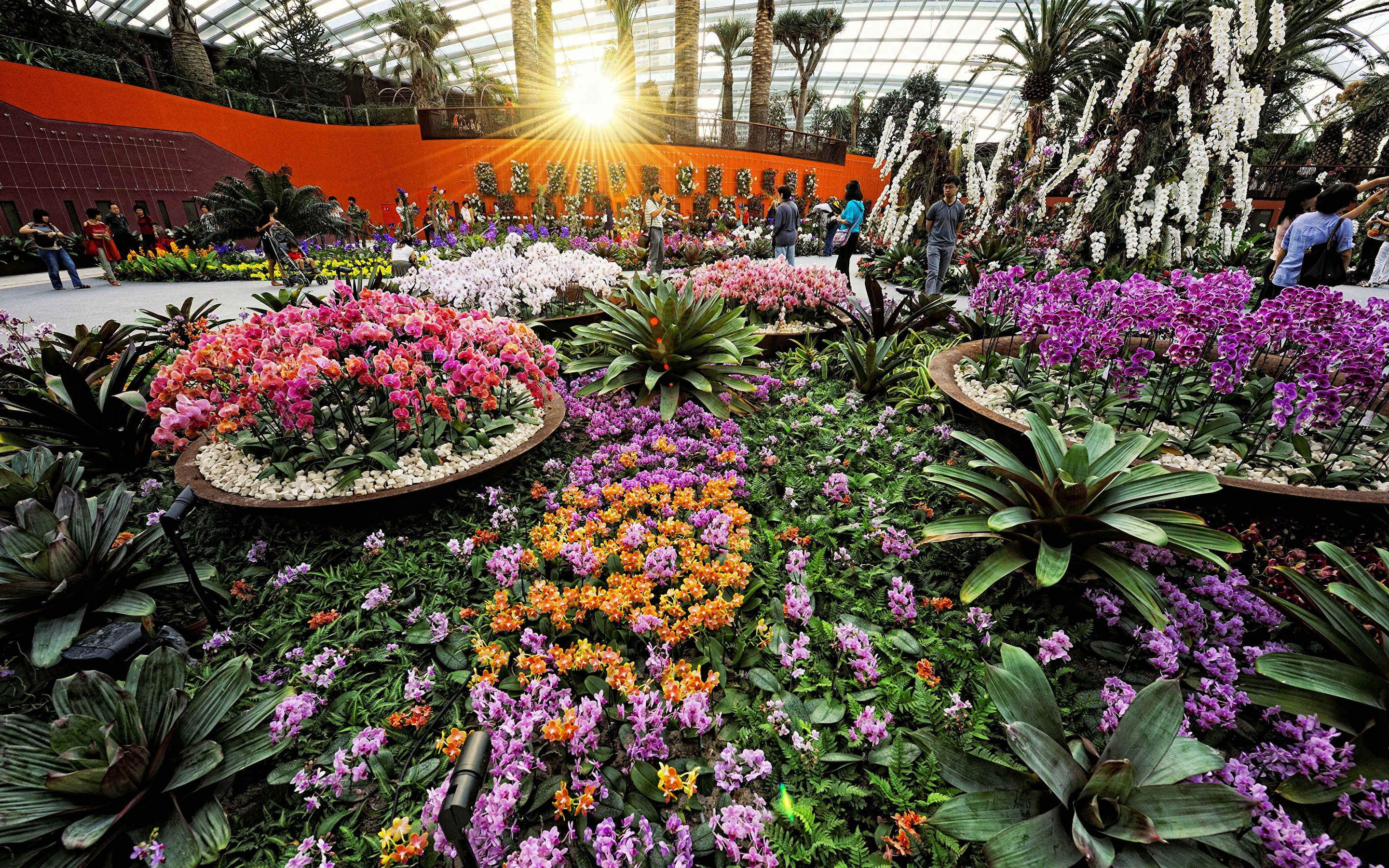 Picture Rays Of Light Singapore Gardens By The Bay - Flower Dome And Cloud Forest Singapore , HD Wallpaper & Backgrounds