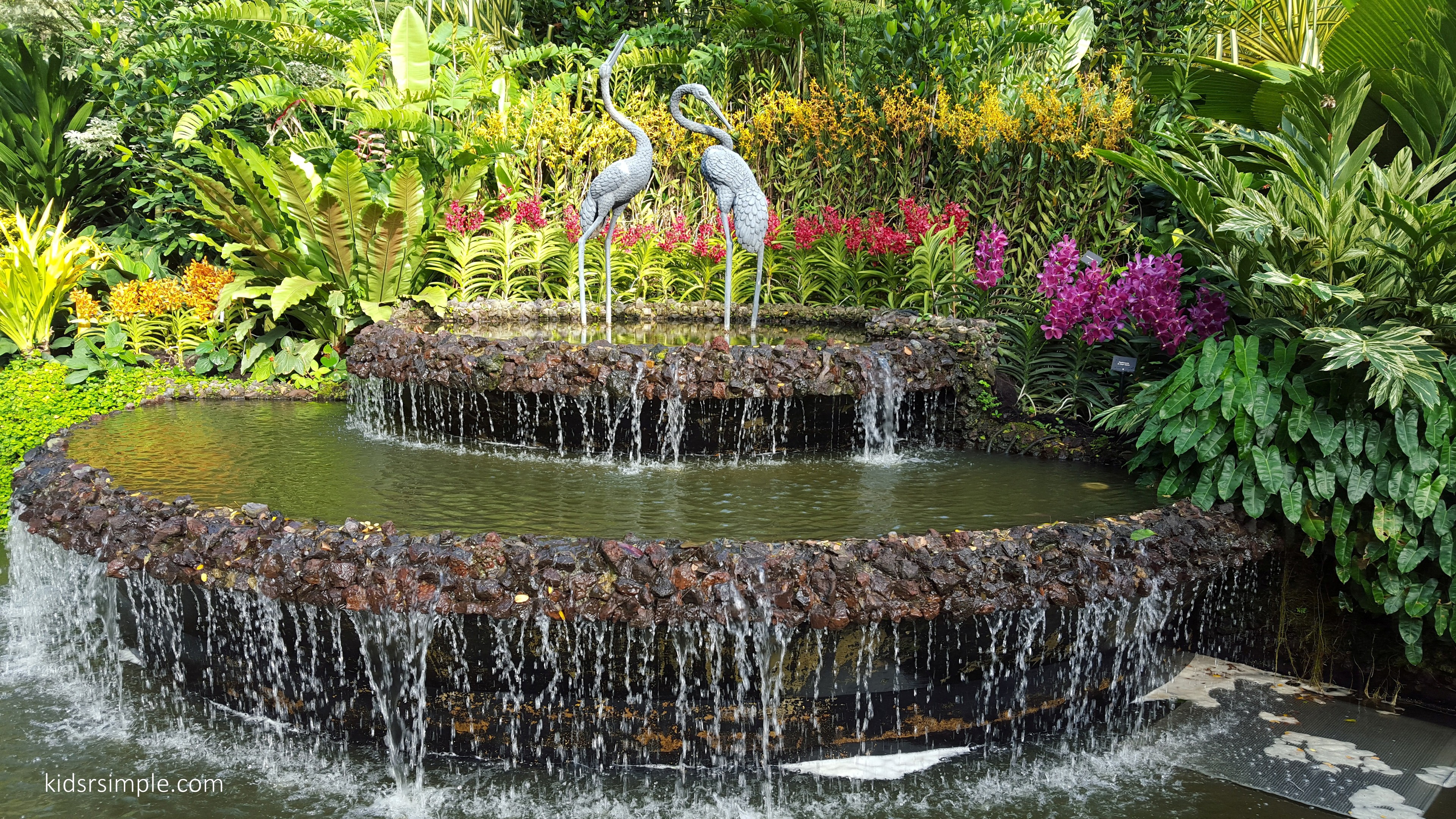 Singapore Botanic Gardens , HD Wallpaper & Backgrounds