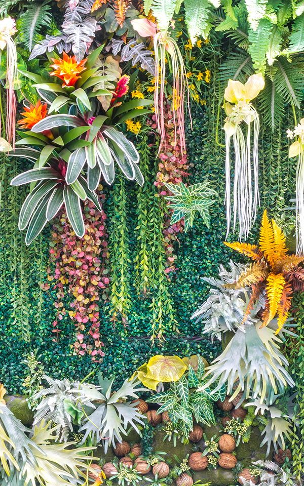 Create A Beautiful Botanical Garden In Your Own Bedroom - Vertical Garden Artificial Plants , HD Wallpaper & Backgrounds