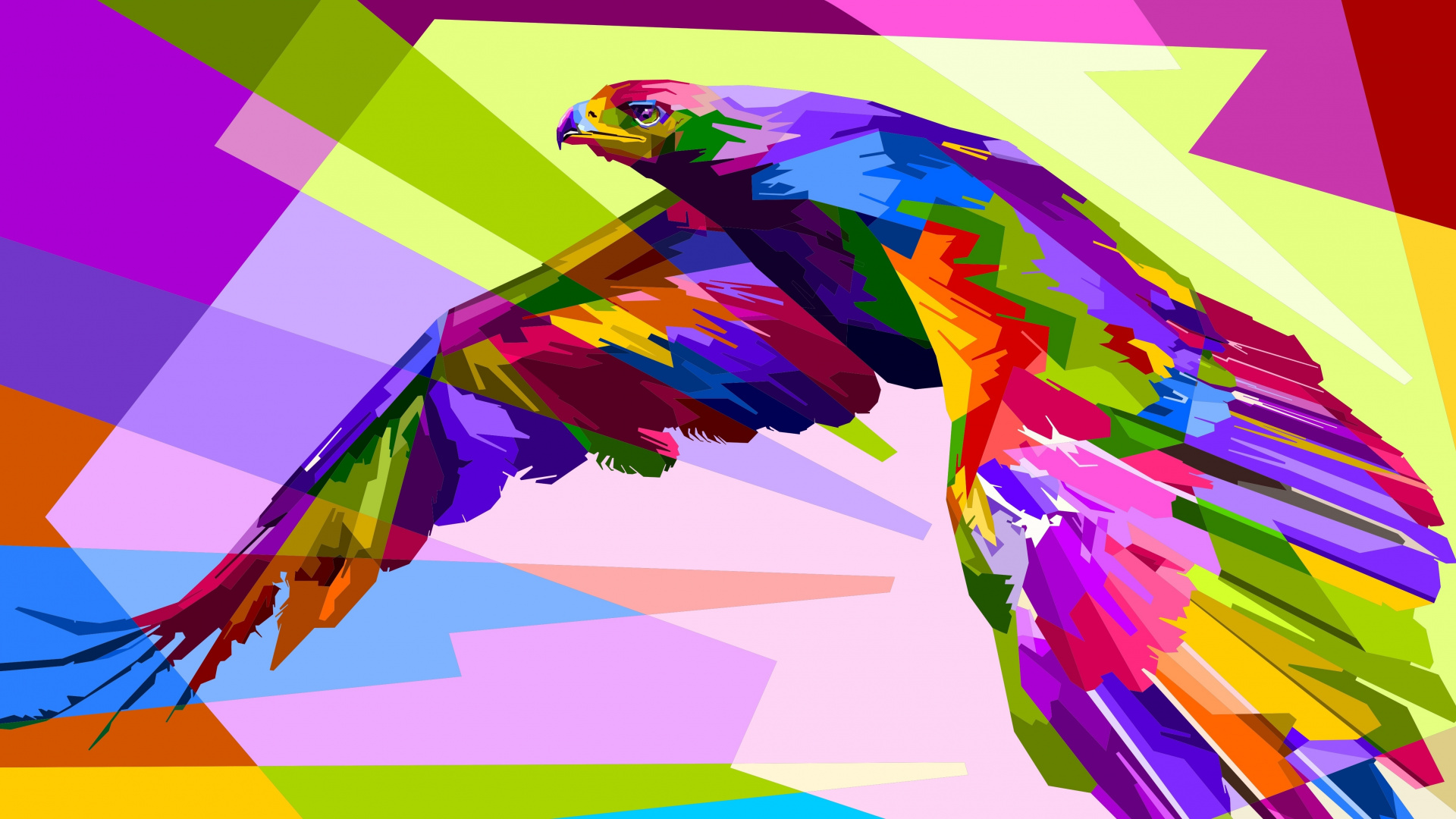 Illustration, Bald Eagle, Philippine Eagle, Macaw, - Eagle Art , HD Wallpaper & Backgrounds