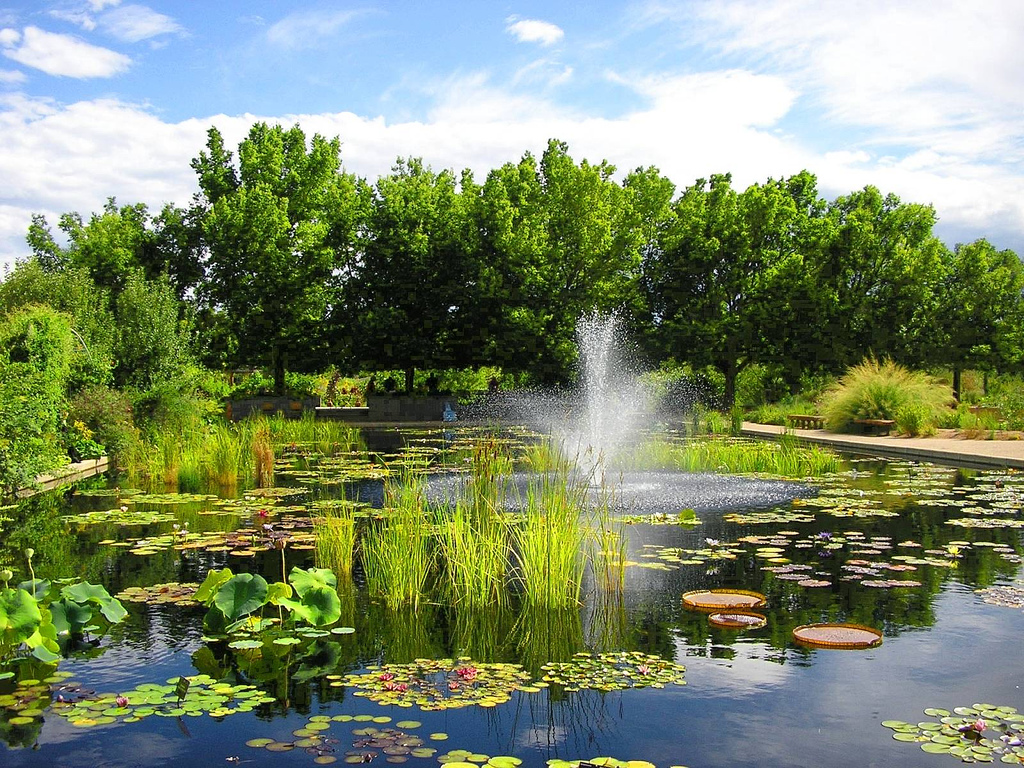 Denver Botanic Gardens - Cameroon Limbe Botanical Garden , HD Wallpaper & Backgrounds