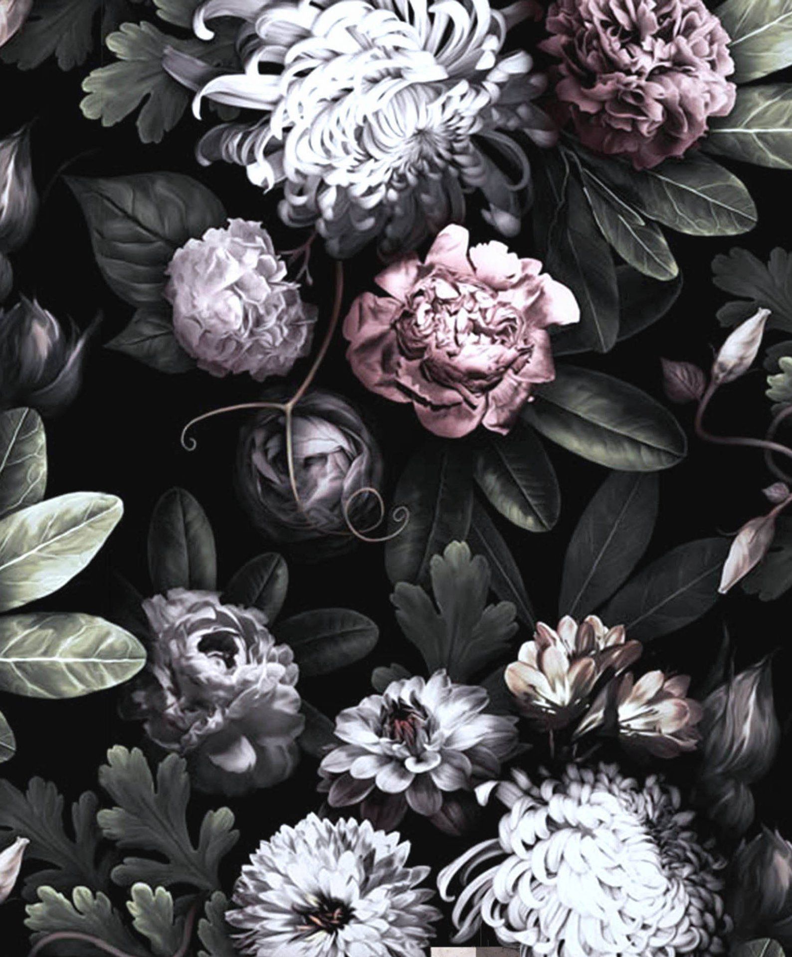 Colours Of Life The Cube Gallery Photo - Dark Floral Background Free , HD Wallpaper & Backgrounds