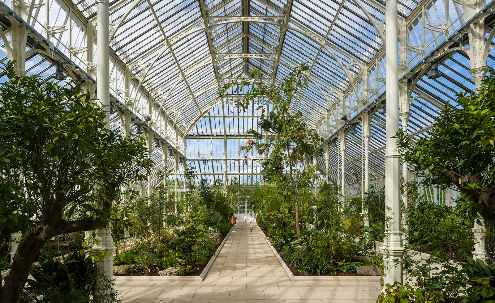 Temperate House , HD Wallpaper & Backgrounds