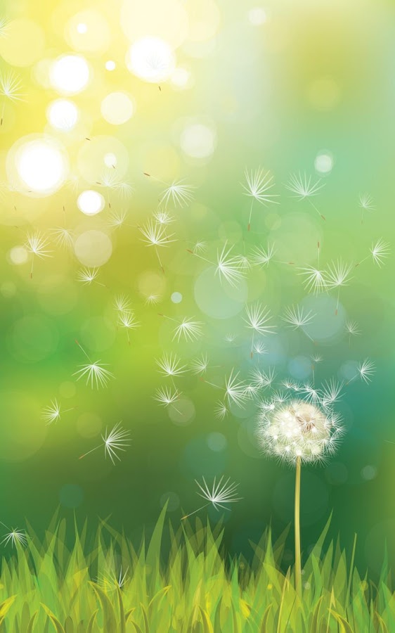 Blowing Dandelion Wallpaper-as3lu8k - Dandelion Vs Rose Quote , HD Wallpaper & Backgrounds