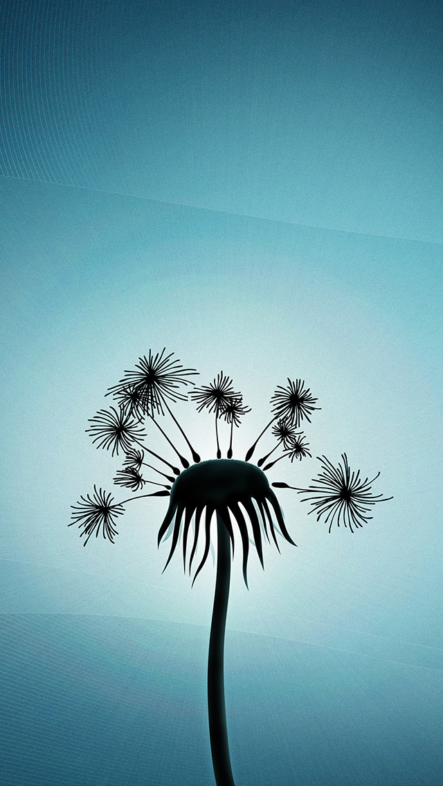 Dandelion Wish - Flower Wish Iphone , HD Wallpaper & Backgrounds