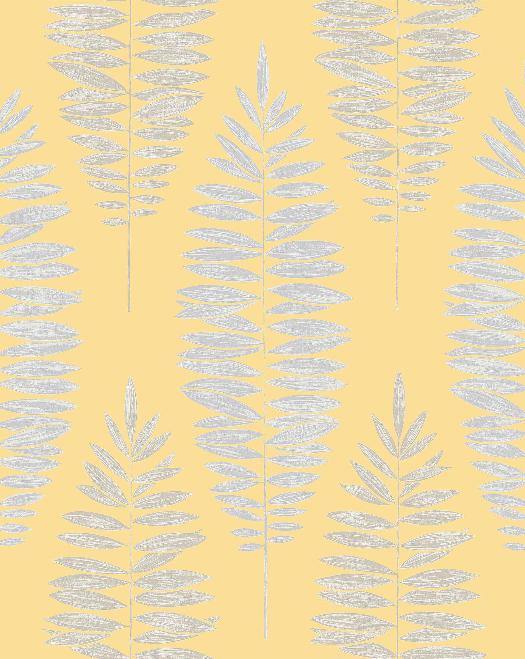 White Pine , HD Wallpaper & Backgrounds