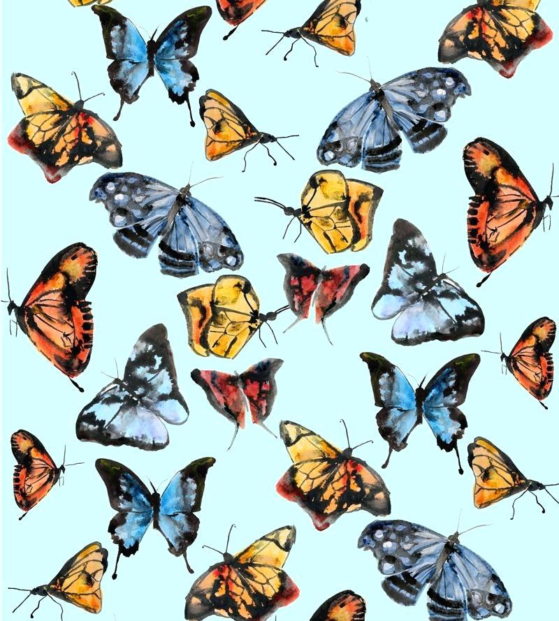 Wallpaper Butterflies - Tiffany Blue , HD Wallpaper & Backgrounds