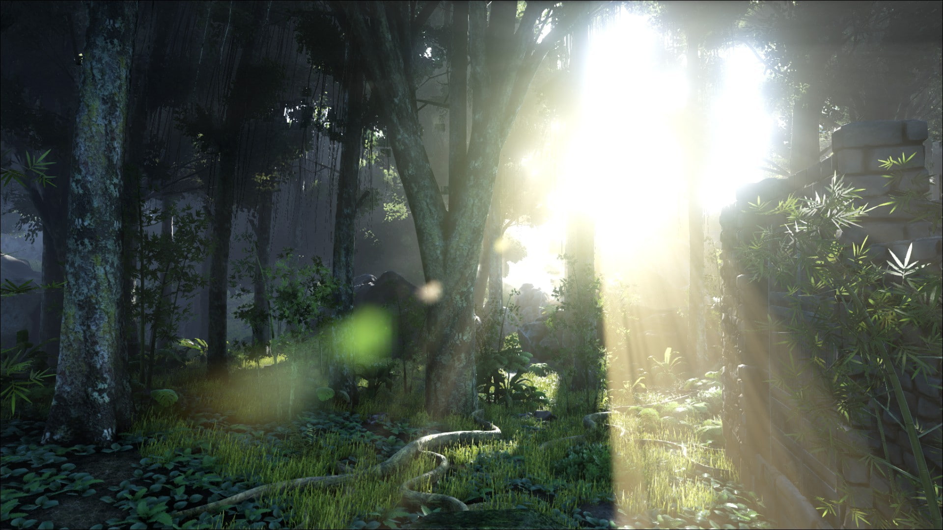 Survival Evolved, Video Games, The Island, Sunlight, - Ark Survival Evolved Background , HD Wallpaper & Backgrounds