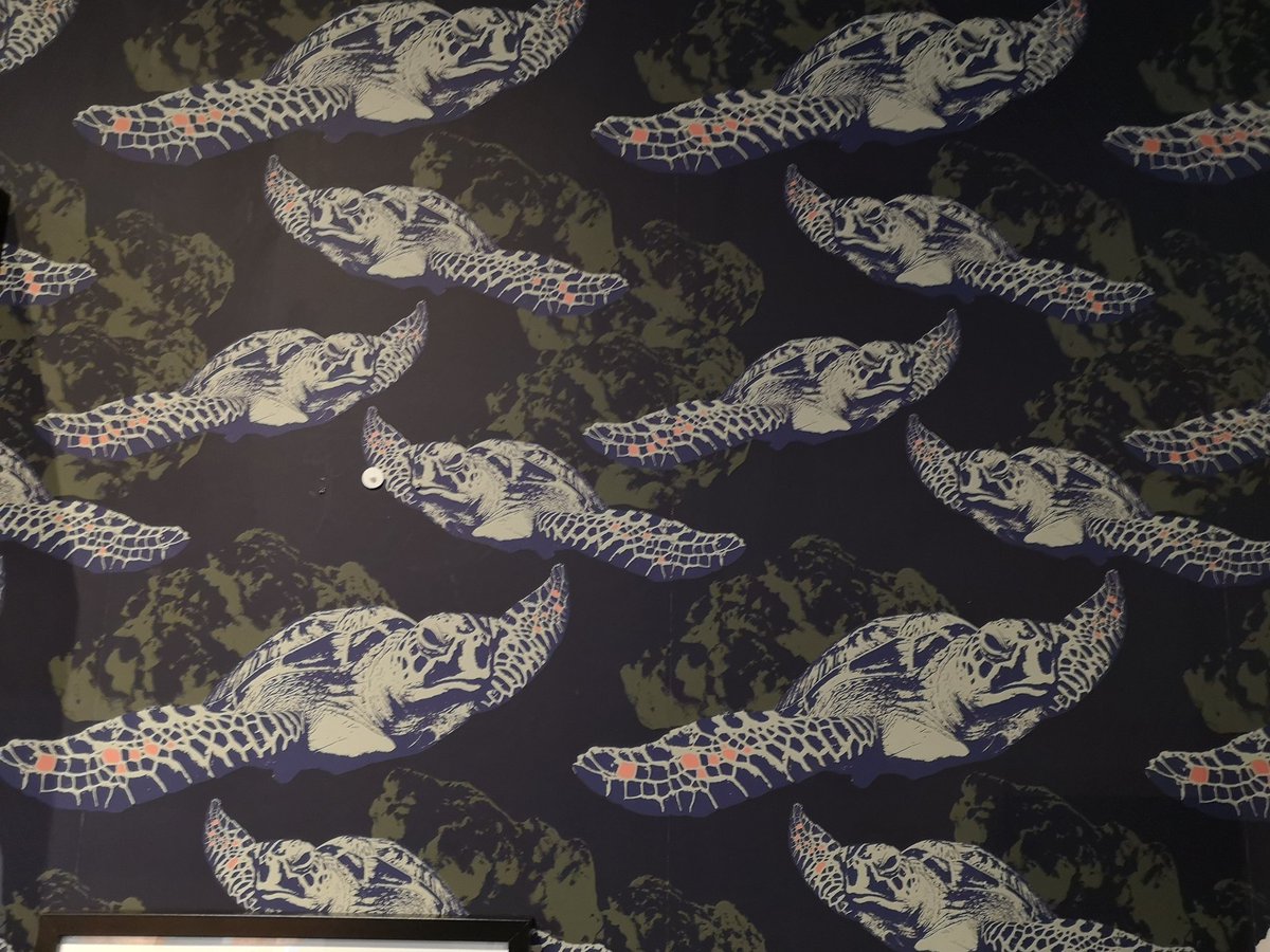 Ikea Uk Support On Twitter - Saltwater Crocodile , HD Wallpaper & Backgrounds