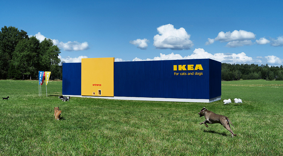 Ikea 'lurvig' Pet Collection - Ikea Movie Collection , HD Wallpaper & Backgrounds