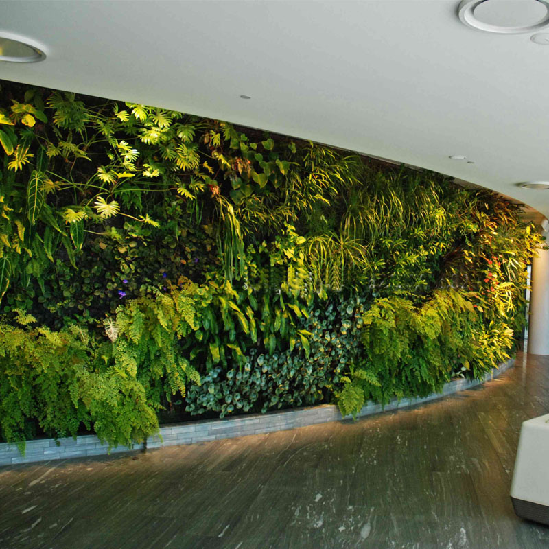 Buy Quality Artificial Plants Artificial Flowers Artificial - Verde Verticale Per Interni , HD Wallpaper & Backgrounds