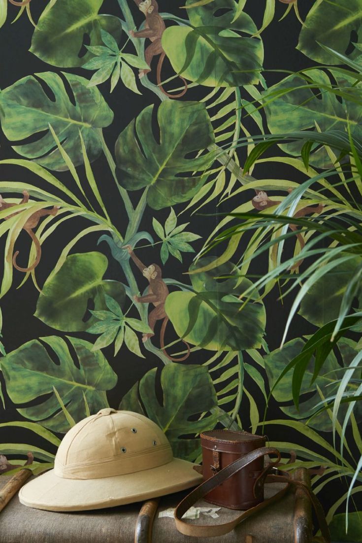 A Fun Green Jungle Leaf Wallpaper Design, Set On A - Clarke And Clarke Monkey Business , HD Wallpaper & Backgrounds