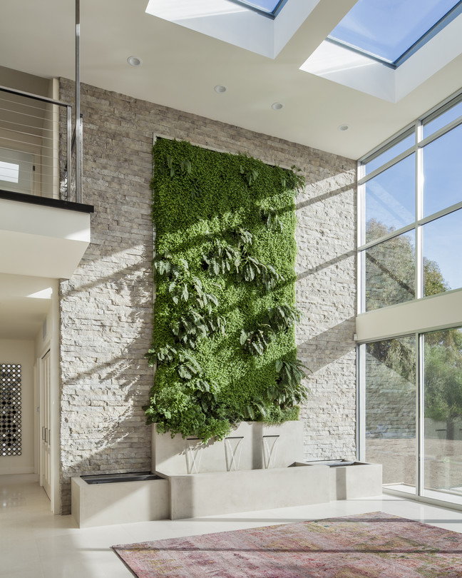 Roberta Riga Spent More Than $20,000 For The Living - Living Wall For Homes , HD Wallpaper & Backgrounds
